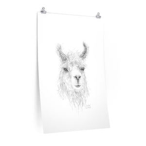 GIULIA Llama- Art Paper Print