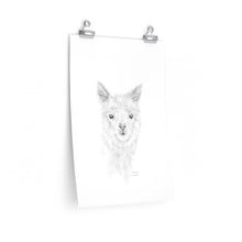 ALARIA Llama- Art Paper Print