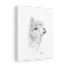 GIULIANA Llama - Art Canvas