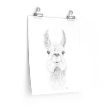 ZAILAH Llama- Art Paper Print