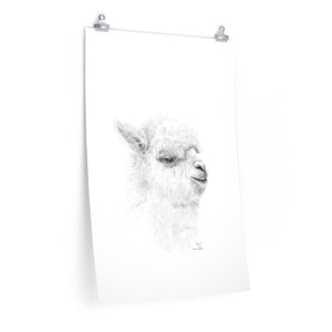 BEN Llama- Art Paper Print