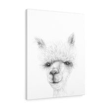 KADY Llama - Art Canvas