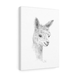 LIVIE Llama - Art Canvas