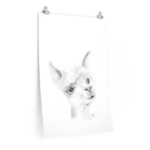 JULIE Llama- Art Paper Print
