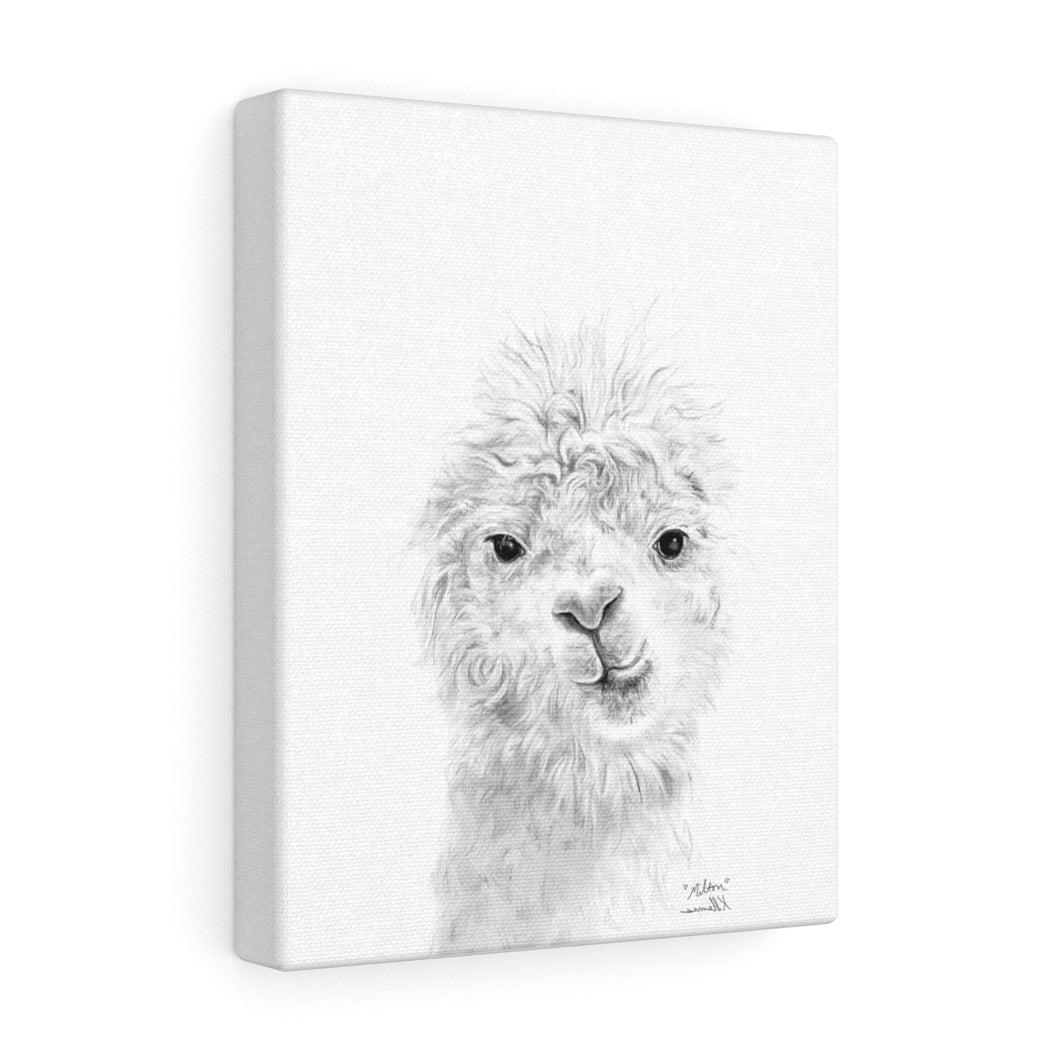 MILTON Llama - Art Canvas