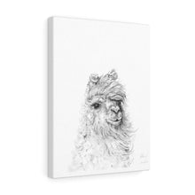 HILARY Llama - Art Canvas