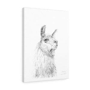 STEVE Llama - Art Canvas