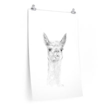 MADDIE Llama- Art Paper Print