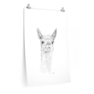 MADDIE Llama- Art Paper Print