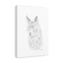 Meredith Llama - Art Canvas