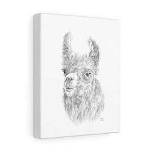 Elizabeth Llama - Art Canvas