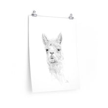 CARI Llama- Art Paper Print
