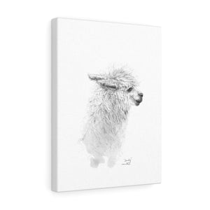 SANDY Llama - Art Canvas