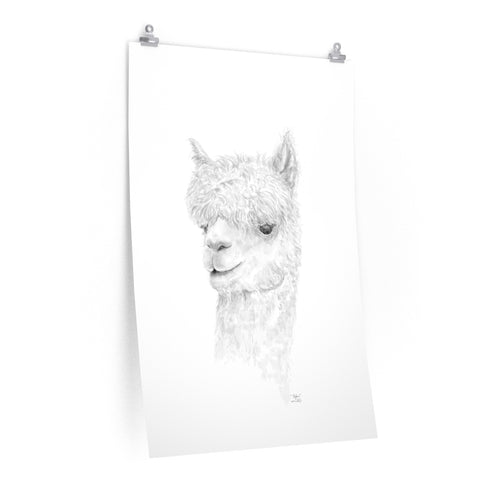 DYLAN Llama- Art Paper Print