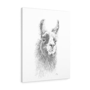 ANNIE Llama - Art Canvas