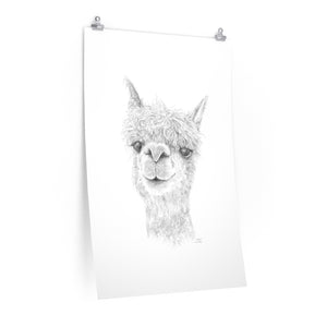 DAKOTA Llama- Art Paper Print