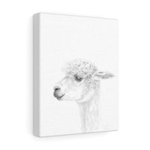 AYALKBET Llama - Art Canvas