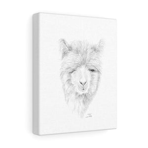EDIE Llama - Art Canvas
