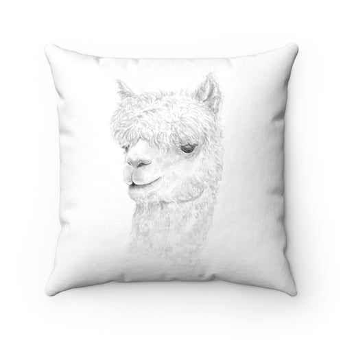 Llama Pillow - DYLAN