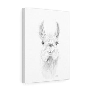 ZAILAH Llama - Art Canvas