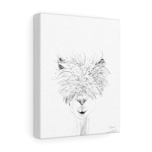 BRUCE Llama - Art Canvas