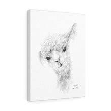 NATALIA Llama - Art Canvas