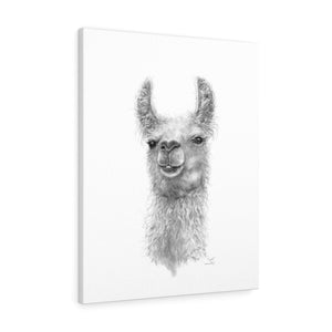 CRYSTAL Llama - Art Canvas