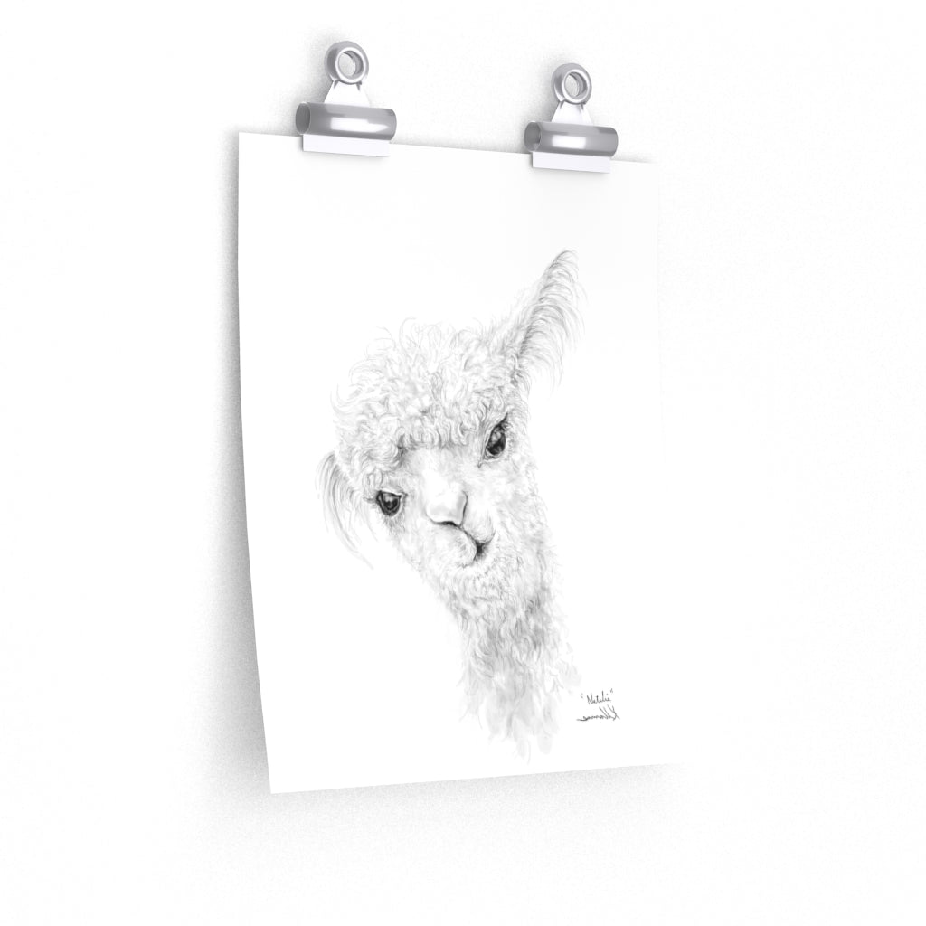NATALIA Llama- Art Paper Print – Llamas Art Show