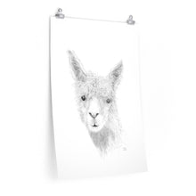 HAYDEN Llama- Art Paper Print