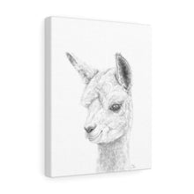 SKY Llama - Art Canvas