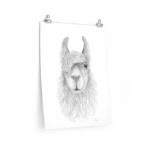 CHRIS Llama- Art Paper Print