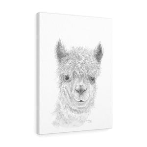 BARTHOLOMEW Llama - Art Canvas