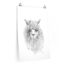 EDDIE Llama- Art Paper Print