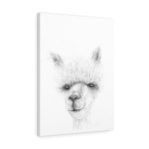 KADY Llama - Art Canvas