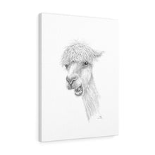 TYLER Llama - Art Canvas