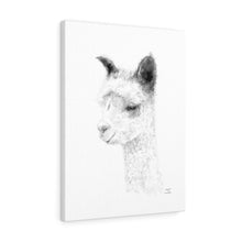 ANGELA Llama - Art Canvas