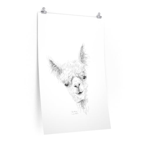 CHRISTINA Llama- Art Paper Print