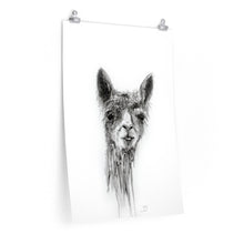 BILLY Llama- Art Paper Print