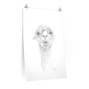 CHRISTOPHER Llama- Art Paper Print