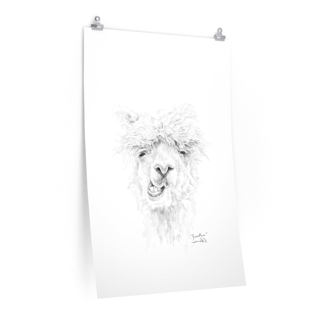 JONATHON Llama- Art Paper Print