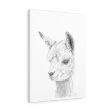 SKY Llama - Art Canvas