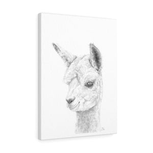 SKY Llama - Art Canvas