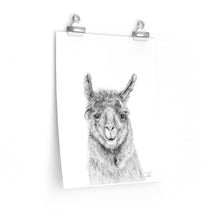 TRUDY Llama- Art Paper Print