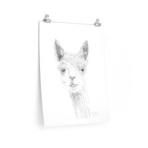 BRANDON Llama- Art Paper Print