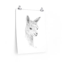 LIVIE Llama- Art Paper Print