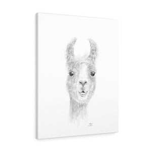MALLORY Llama - Art Canvas