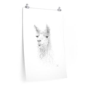 ABIGAIL Llama- Art Paper Print
