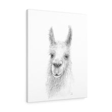 TREX Llama - Art Canvas