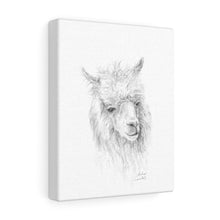AUDRA Llama - Art Canvas