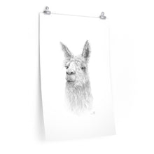 SHELLY Llama- Art Paper Print